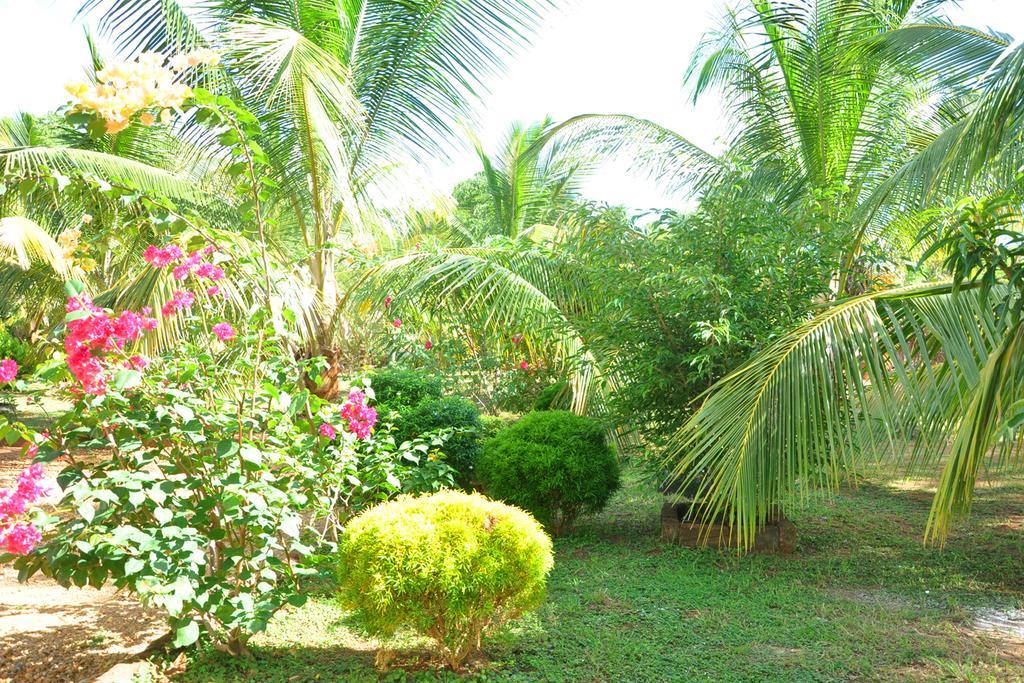 Coconut Garden House 호텔 우다왈라웨 외부 사진