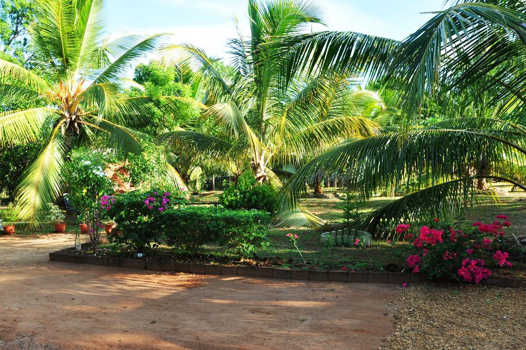 Coconut Garden House 호텔 우다왈라웨 외부 사진