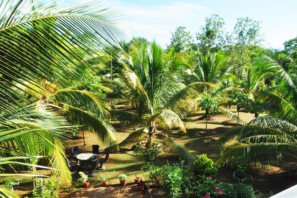 Coconut Garden House 호텔 우다왈라웨 외부 사진